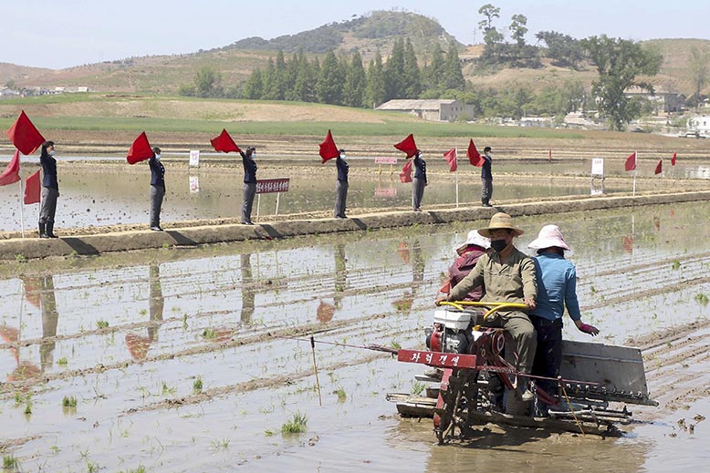 nordkorea jordbruk.jpg