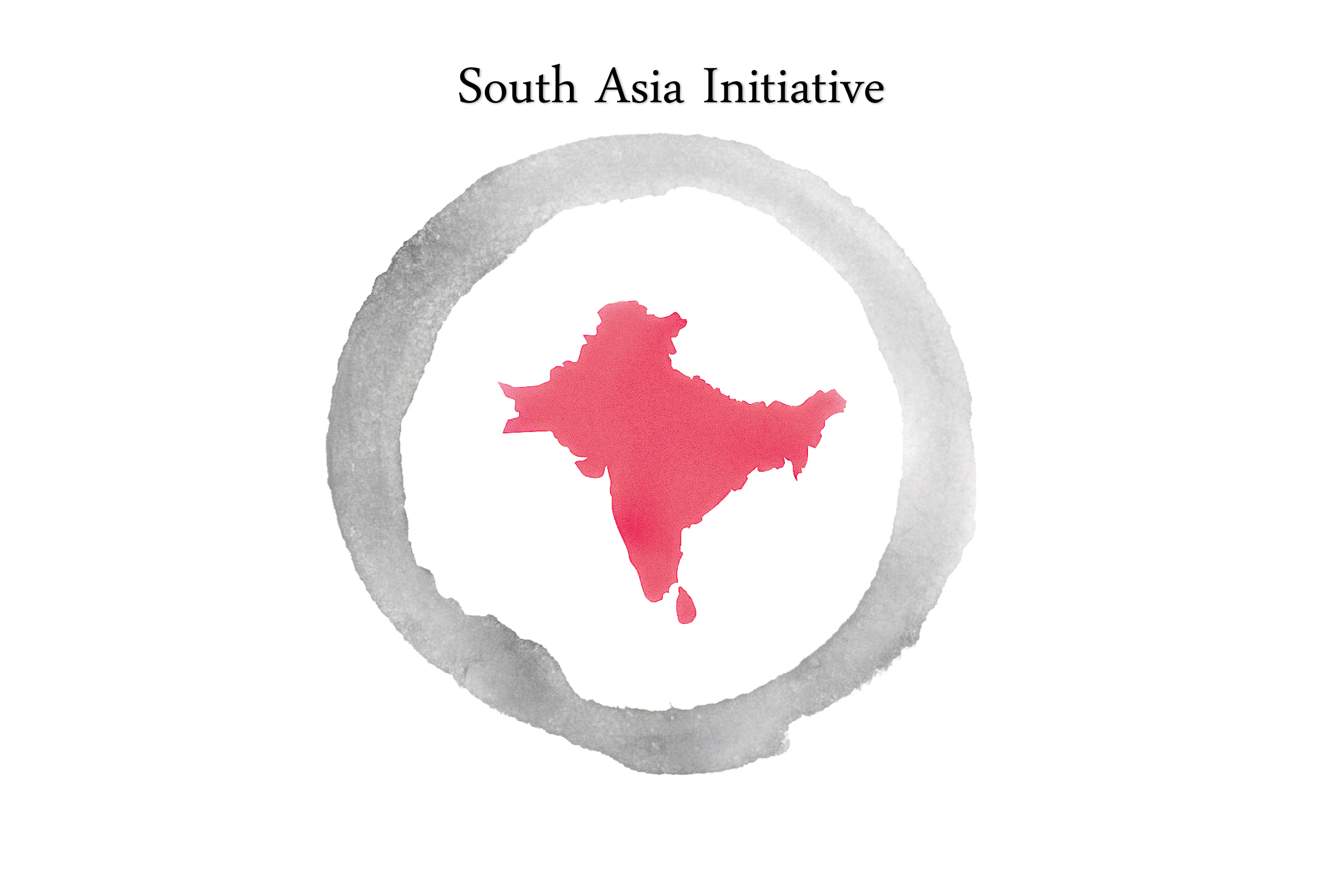 The South Asia Initiative