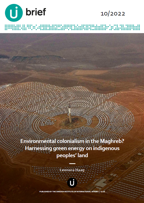 Environmental colonialism in the Maghreb? Harnessing green energy on indigenous peoples’ land