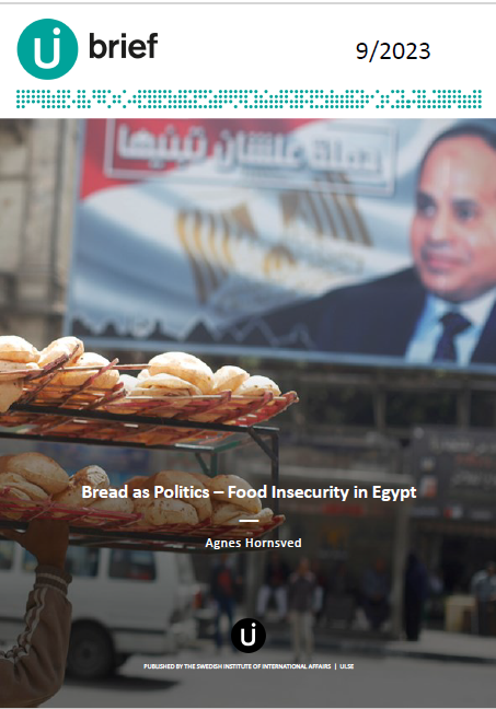 Bread as Politics – Food Insecurity in Egypt