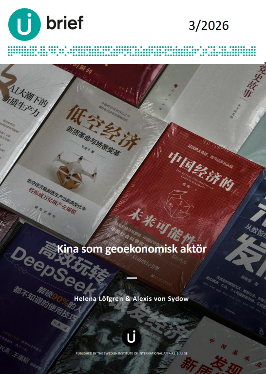 Kina som geokonomisk aktör