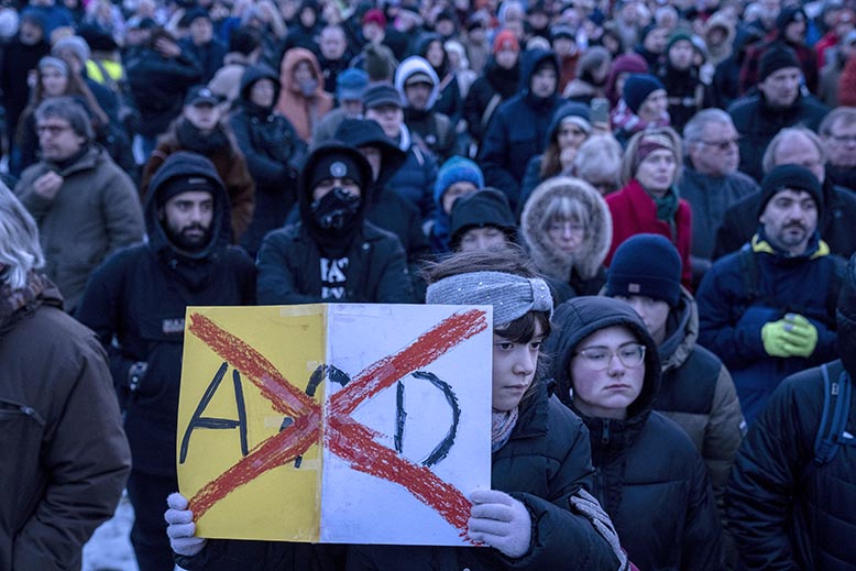 eu-valet afd tyskland.jpg