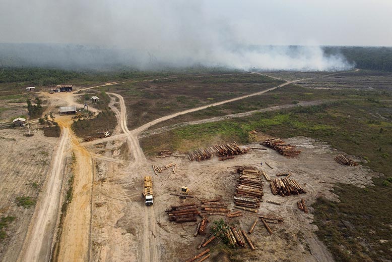 brasilien amazonas.jpg