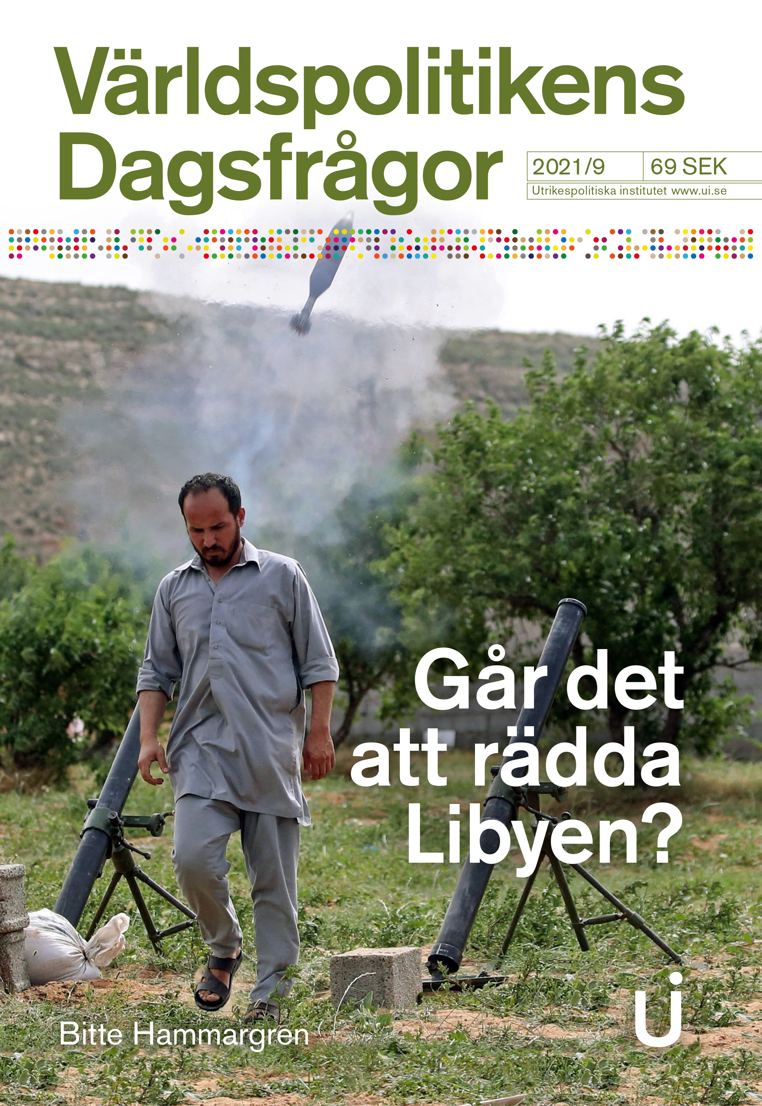 Går det att rädda Libyen?