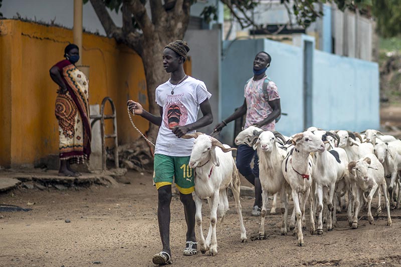 Senegal