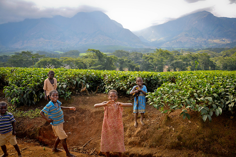 Malawi