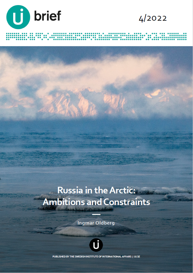 Russia in the Arctic: Ambitions and Constraints