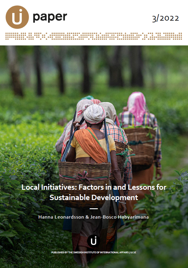 Local Initiatives: Factors in and Lessons for Sustainable Development