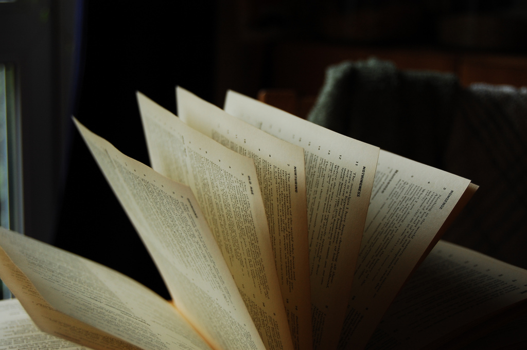Job Opportunity: Post-doc Europe programme