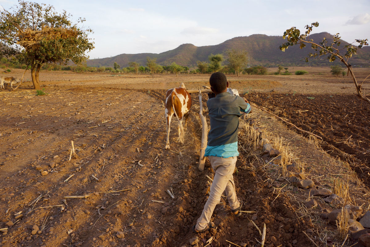 Bottenfryst mellan Etiopien och Eritrea