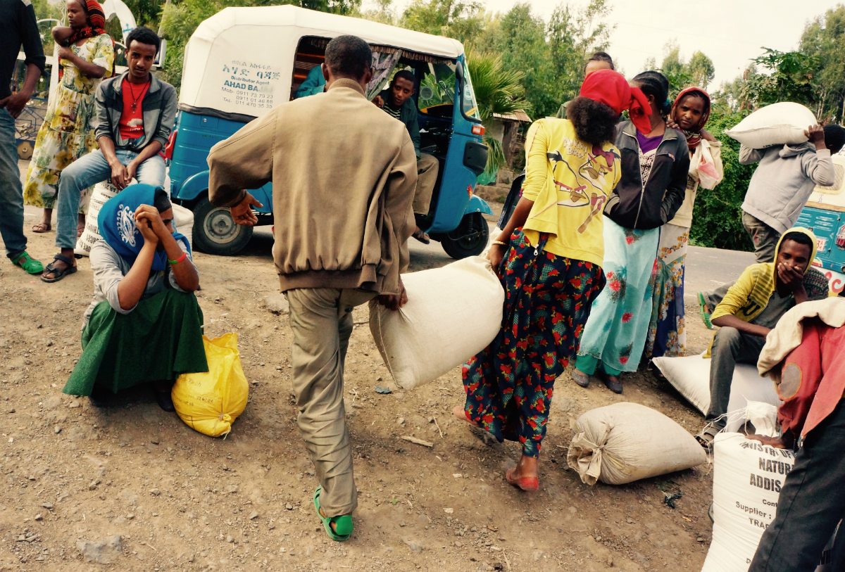 I Korem i norra Etiopien arbetar torkdrabbade familjer i beredskapsarbeten för att få inkomster att köpa mat. Foto: Cecilia Bäcklander