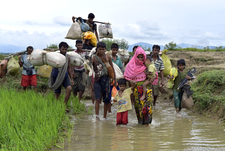 rohingya