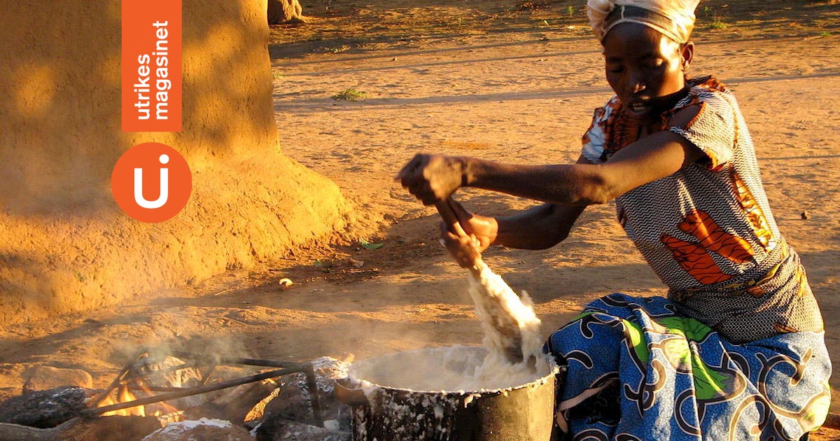 Södra Afrika riskerar hungerkris – nu måste matvanor ändras