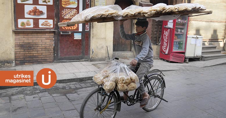 Varning för hungerkatastrof i Ukrainakrigets spår