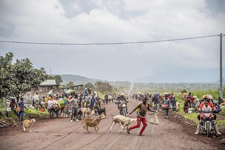 Flykt undan strider i Kongo-Kinshasa mellan regeringsarmén och gerillan M23. Foto: AP/TT